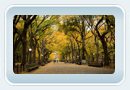 Central Park - Maps, photos, official website